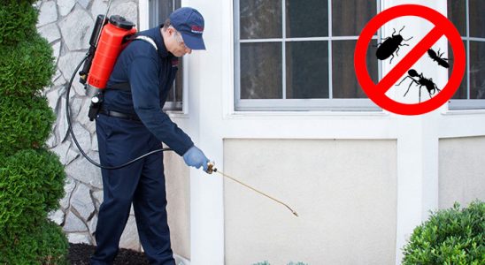 Evka 3 Karınca İlaçlama böcek ilaçlama ve haşere kontrolü — ilaclama-tr.com